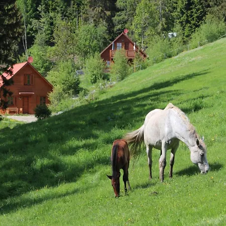 Sternenchalet Chalet
