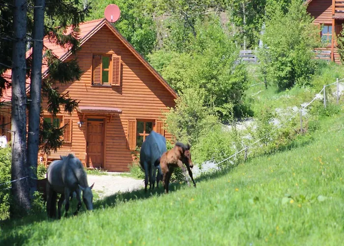 Sternenchalet Domek alpejski *