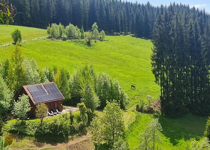 Domek alpejski Sternenchalet